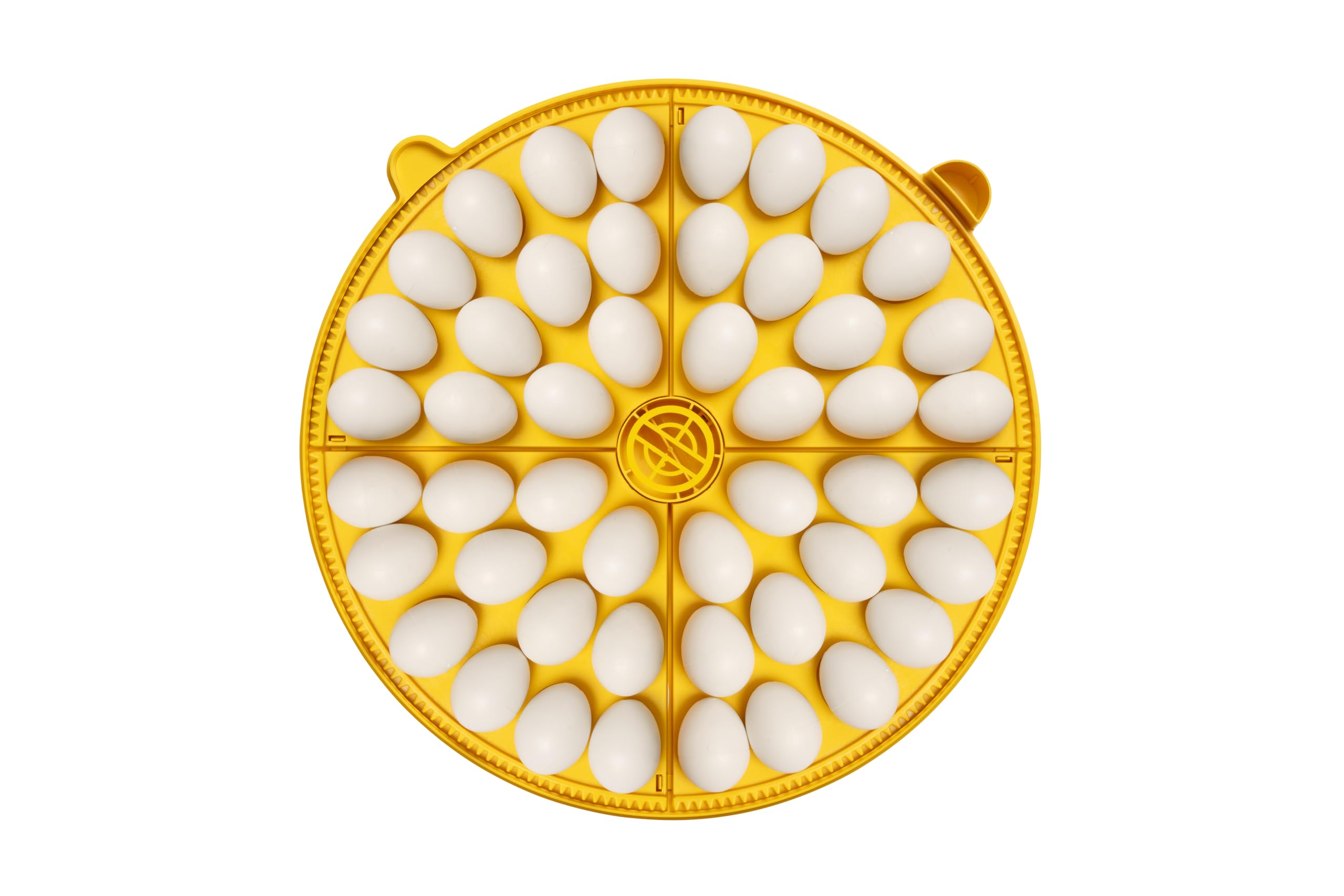 Incubadora BRINSEA Maxi 48 Advance - Incubadora para Huevos de Diferentes Especies de Ave - con volteo automático