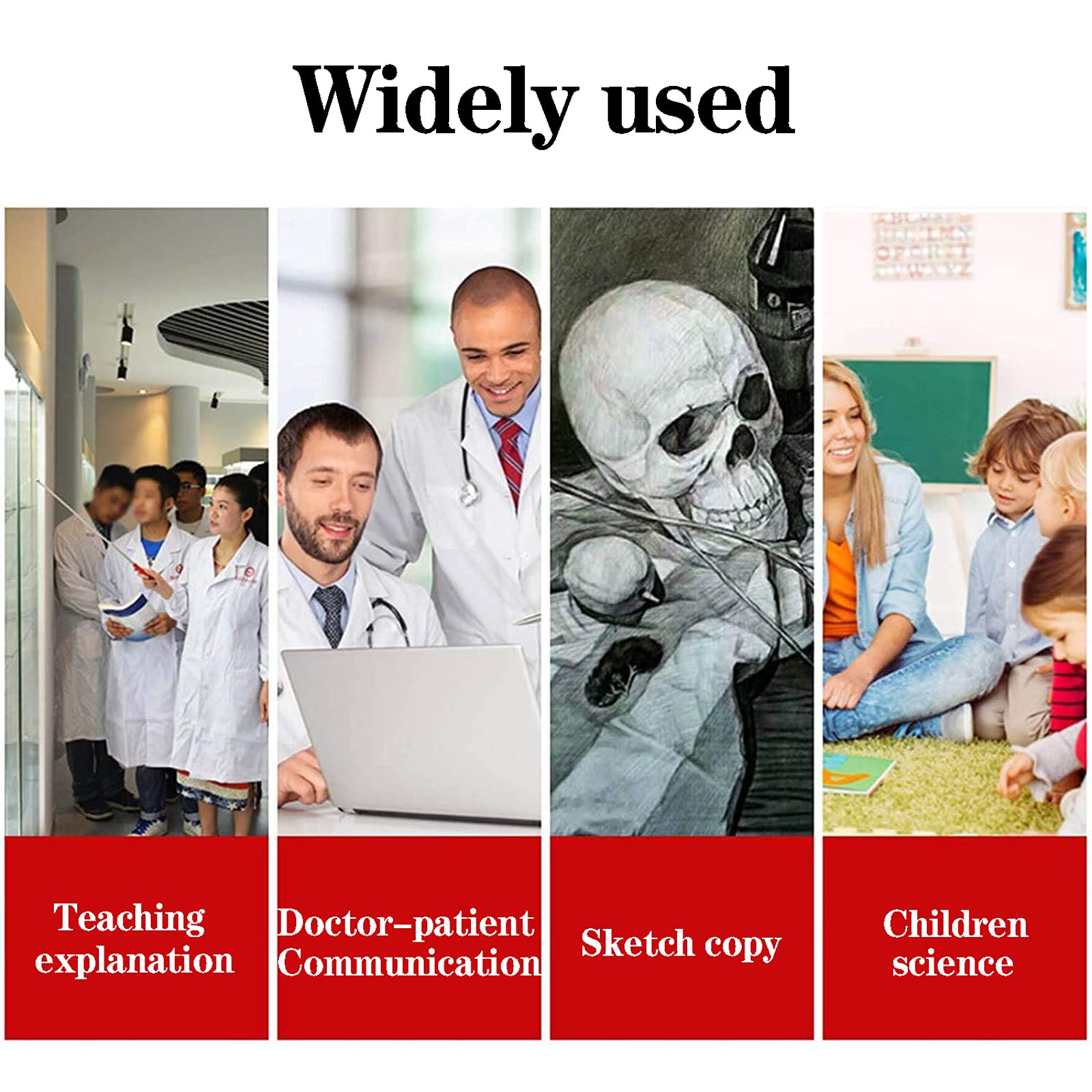 Model ludzkiego szkieletu 85 cm do edukacji anatomii medycznej, narzędzie do nauczania szpitala i szkoły