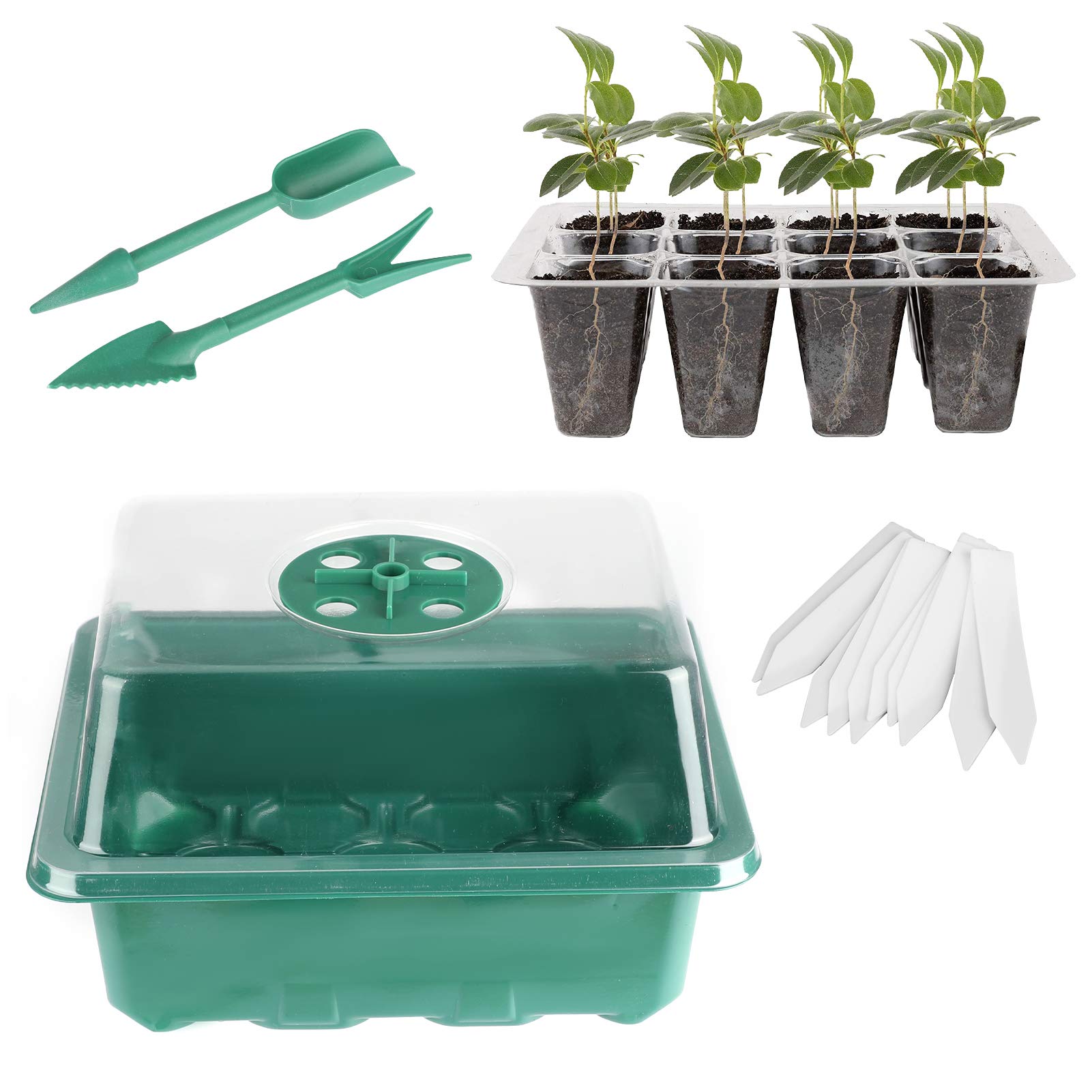 Buy Luckits 10 Pack Seed Starter Tray, Seed Starter Kit with Dome Lid