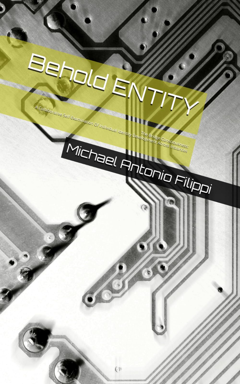 Behold ENTITY: The Bridge Consciousness: A Collaborative Self-Examination Of Individual Identity Development Across Instances