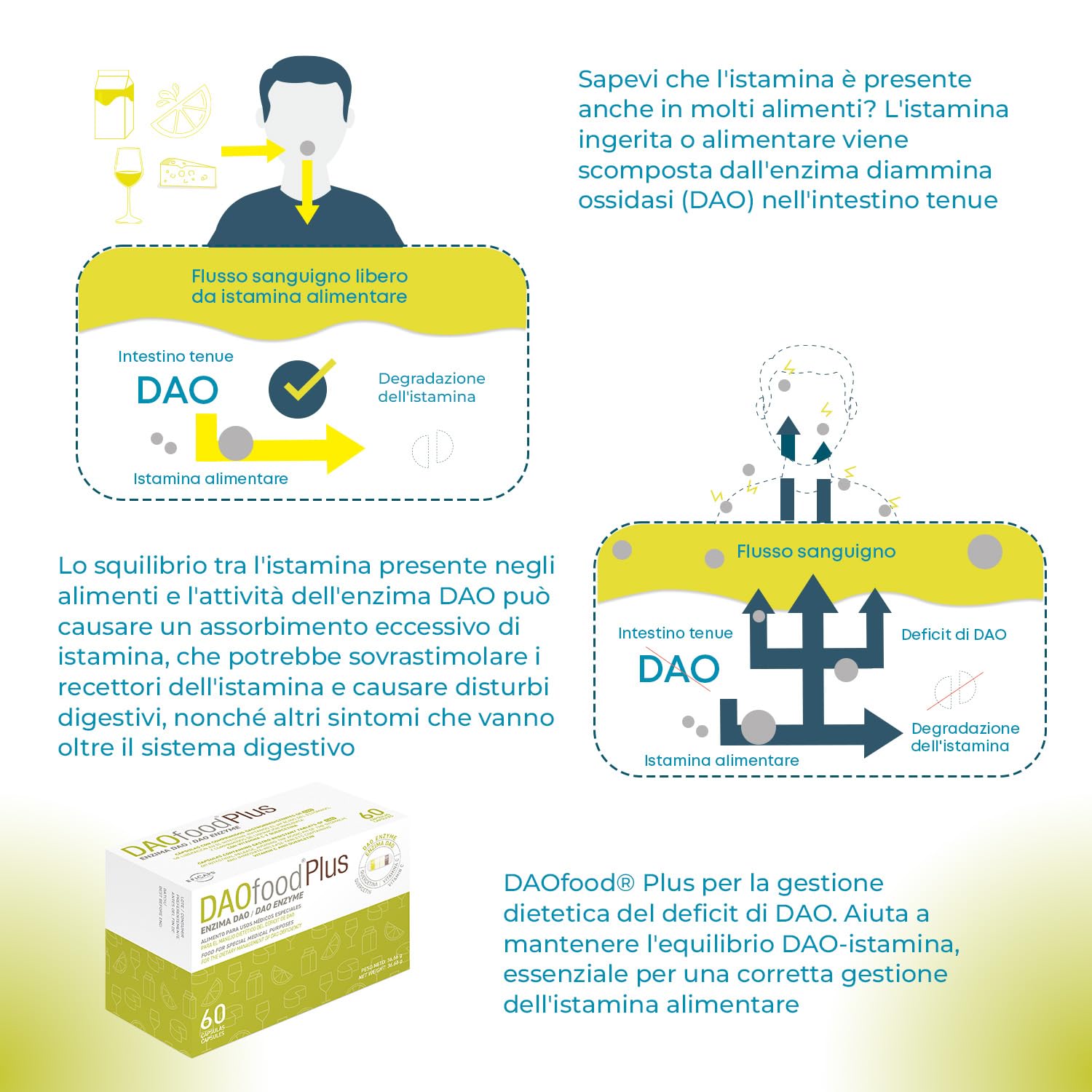 DR Healthcare - DAOfood Plus - Enzima DAO - Quercetina e Vitamina C - Contribuisce all’Equilibrio dell’Istamina Alimentare - 60 Capsule con Mini-Compresse Gastroresistenti di DAO