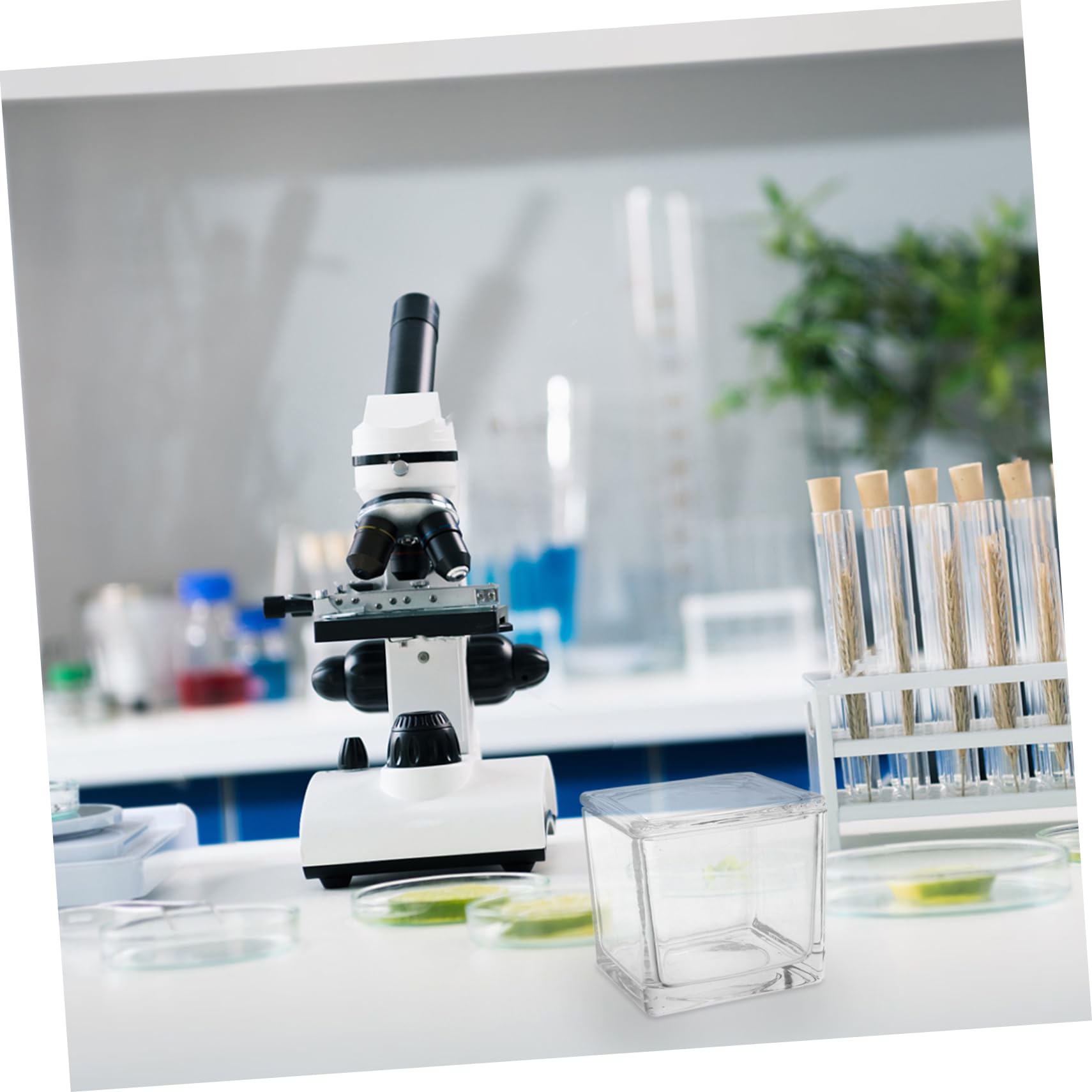 Transparentes Glas Färbegefäß mit 30 Objektträgern Mikroskopzubehör für Kinder Vertikales und Rundes Design Stabile Färbeumgebung für Biologieunterricht
