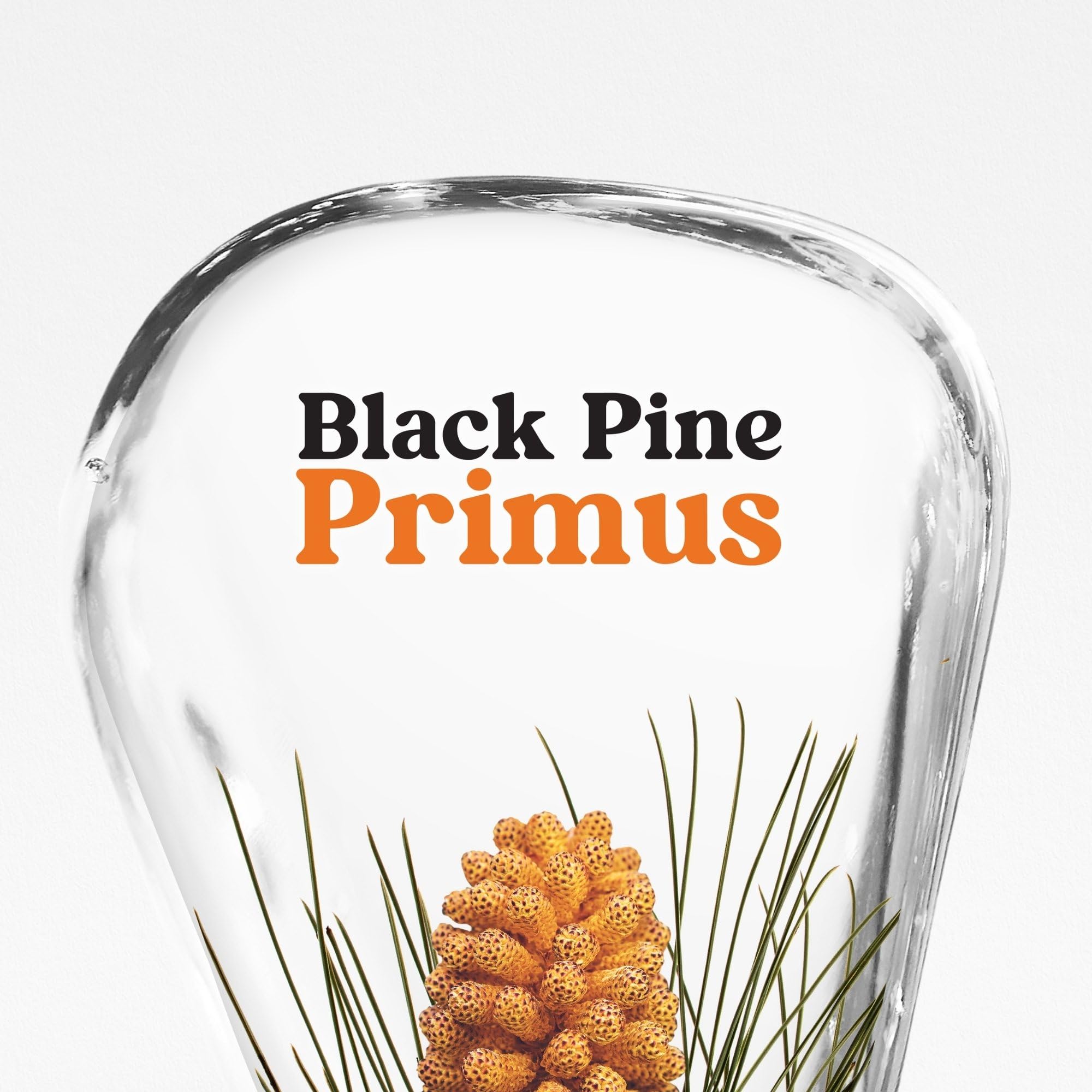 KORRES BLACK PINE PRIMUS crema notte rinnovatrice contro le rughe, per una pelle più tonica durante la notte, senza siliconi e parabeni, vegan, 40 ml