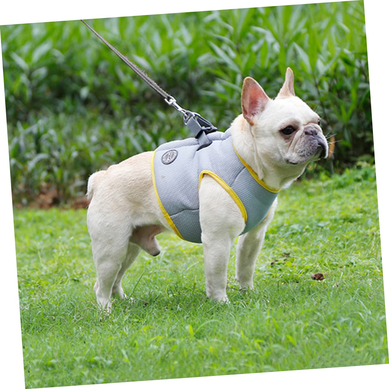 BESPORTBLE 3pezzi Gilet Rinfrescante Per Cooling Per Domestici Traspirante e Assorbente s Per Attività Estive e