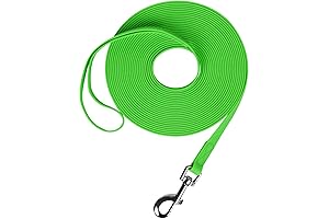 Essential Long Line Dog Training Lead: Unleash Your Furry Friend's Potential