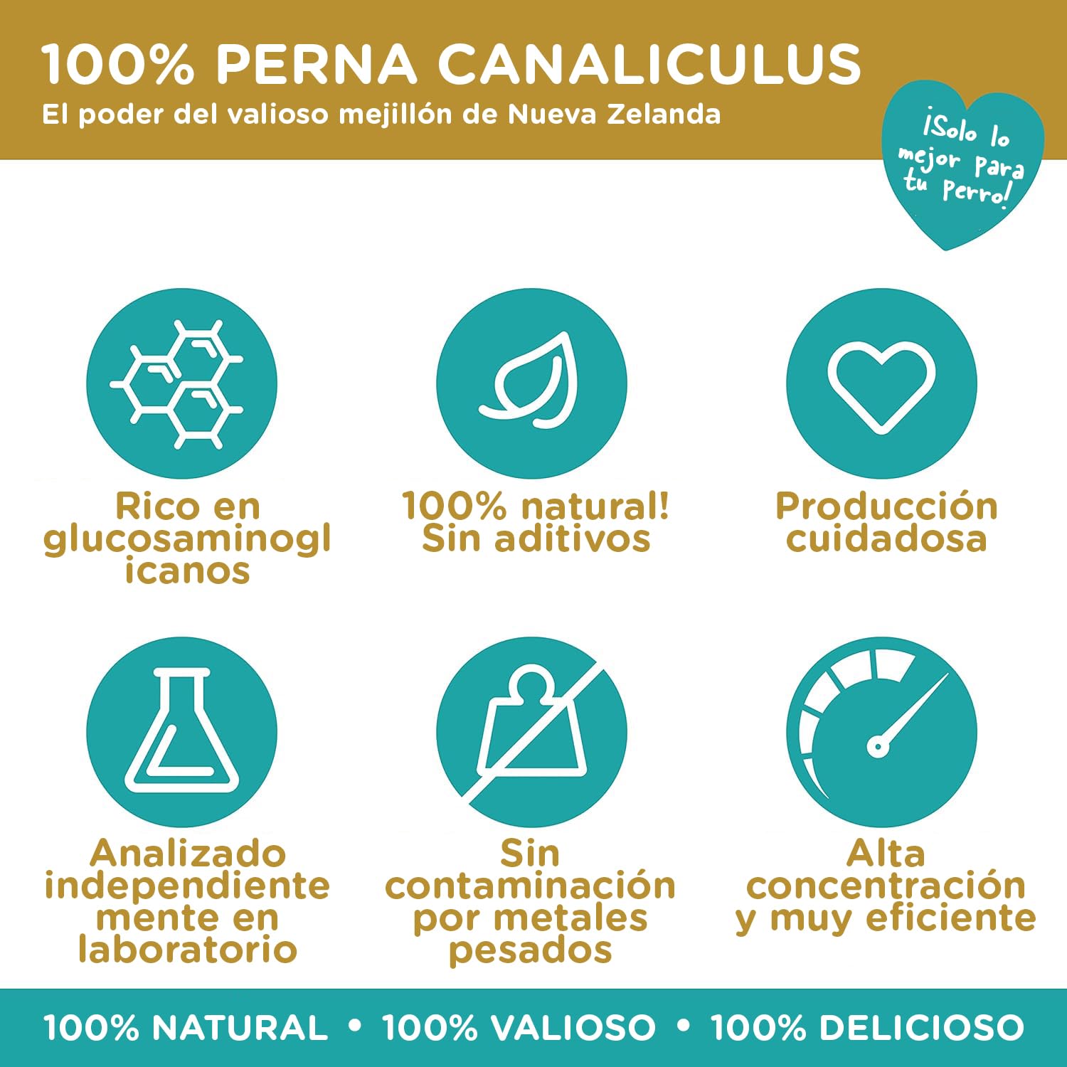 Mejillón de Labio Verde en Polvo para Perros 500g – Suplemento Natural con glucosamina, mejillón Labio Verde Perros, mejillon Labios Verde, 500g de Nueva Zelanda, Apoyo Articular