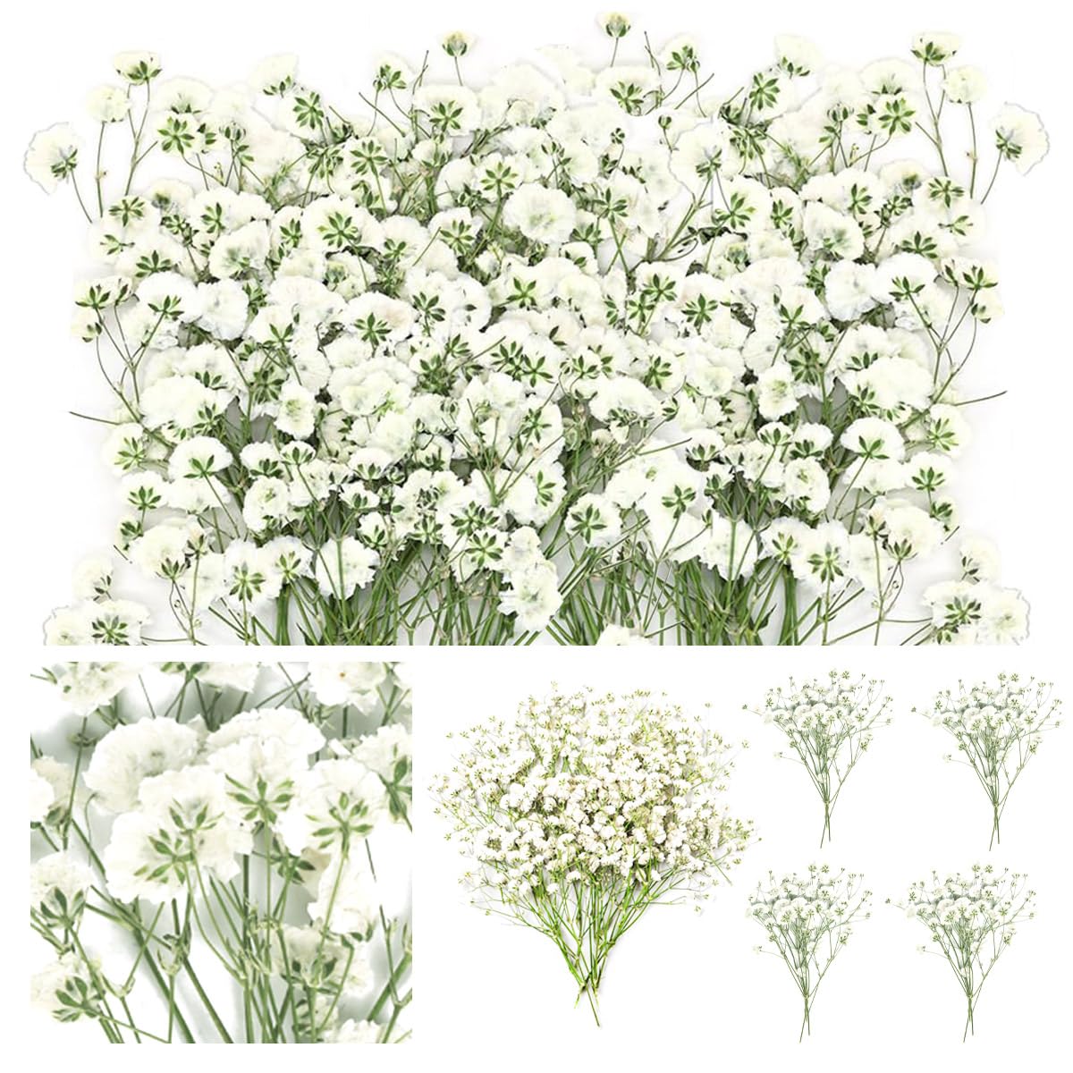 60 Fiori Secchi Pressati Stabilizzati Decorativi Gypsophila Bianca Natura e Mini Fiorellini per Bomboniere, Fiori Secchi per Bomboniere, Resina, Artigianato e Decorazioni Feste a Casa