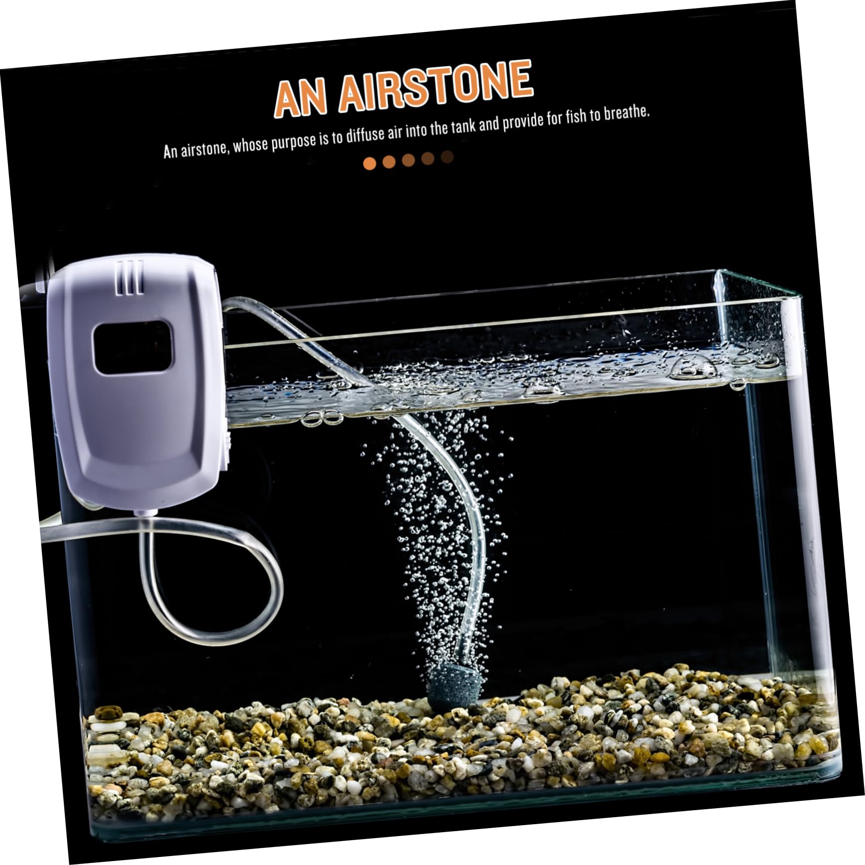 ibasenice 10 pièces à Air pour Aquarium de Diffuseurs à Bulles Pierre pour Réservoirs et Durables Améliorez Oxygénation de Votre Aquarium