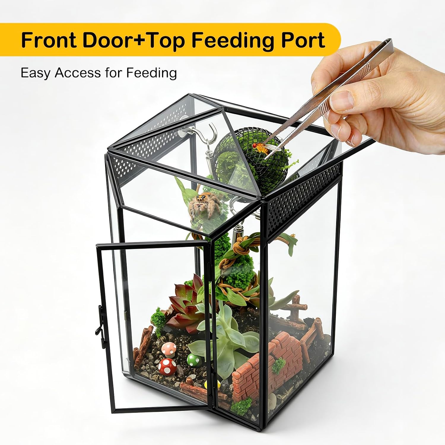 Glass Jumping Spider Enclosure Kit,Gothic Pet Baby Spider Terrarium image 4