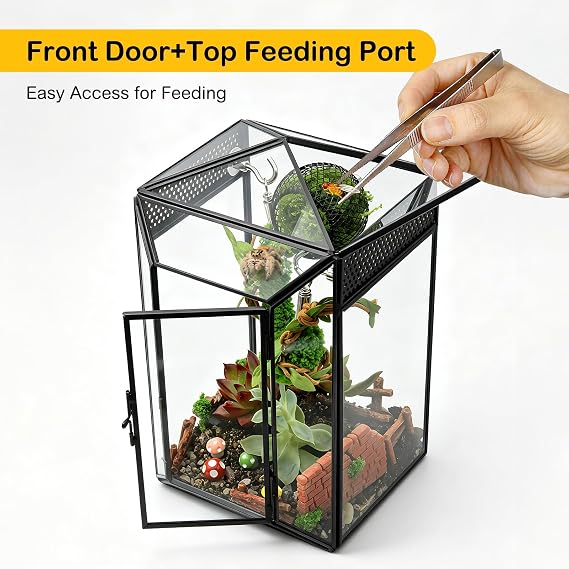 Glass Jumping Spider Enclosure Kit,Gothic Pet Baby Spider Terrarium