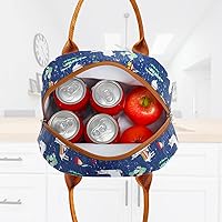 Vista 6 de Bolsa de almuerzo aislada FlowFly - Bolsa de asas organizadora para mujeres/hombres, Alpaca