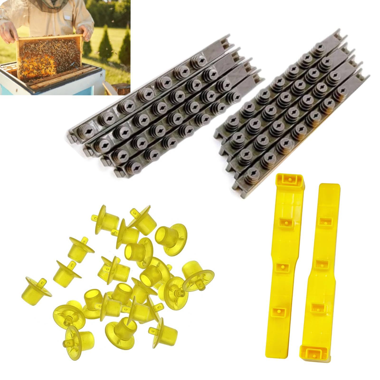 Amazon.com : JZBZ Queen Bee Rearing System Queen Bee Rearing Kit