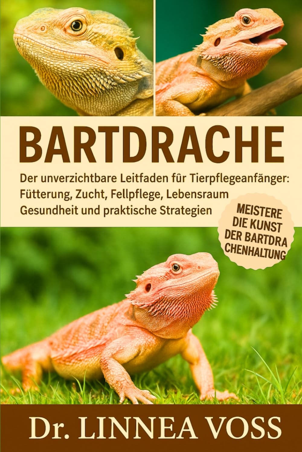 BARTDRACHE: Der unverzichtbare Leitfaden für Tierpflegeanfänger: Fütterung, Zucht, Fellpflege, Lebensraum, Gesundheit und praktische Strategien