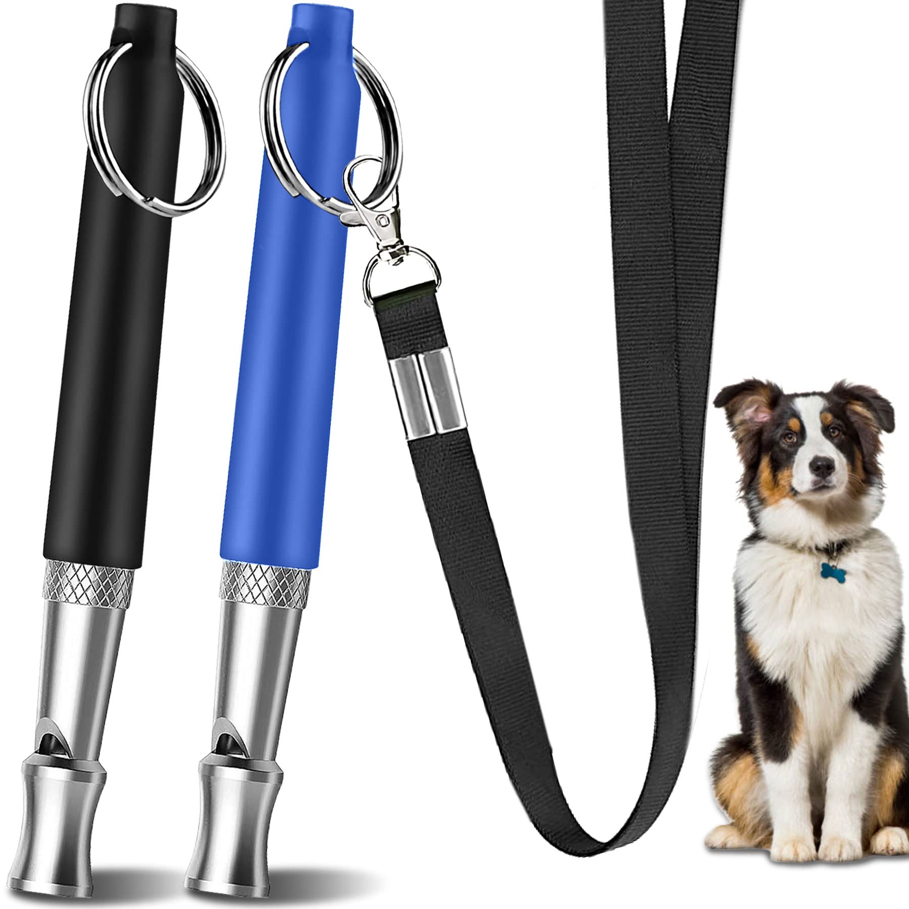 Do Dog Whistles Help Stop Barking