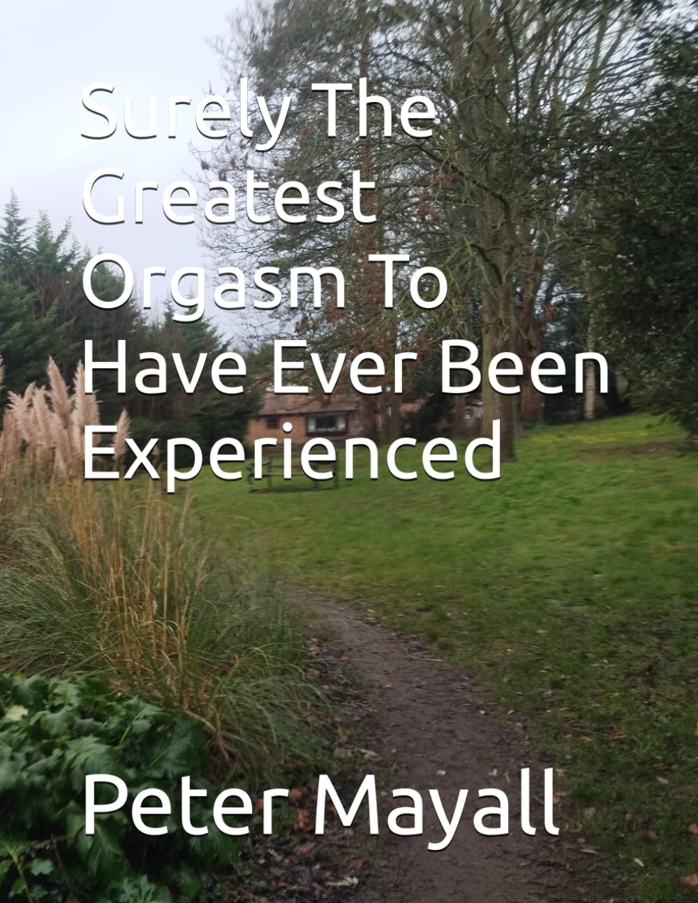 Surely The Greatest Orgasm To Have Ever Been Experienced