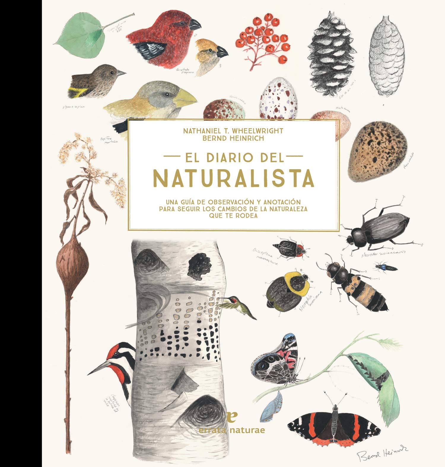 Diario del naturalista: Una guía de observación y anotación para seguir los cambios (VARIOS)