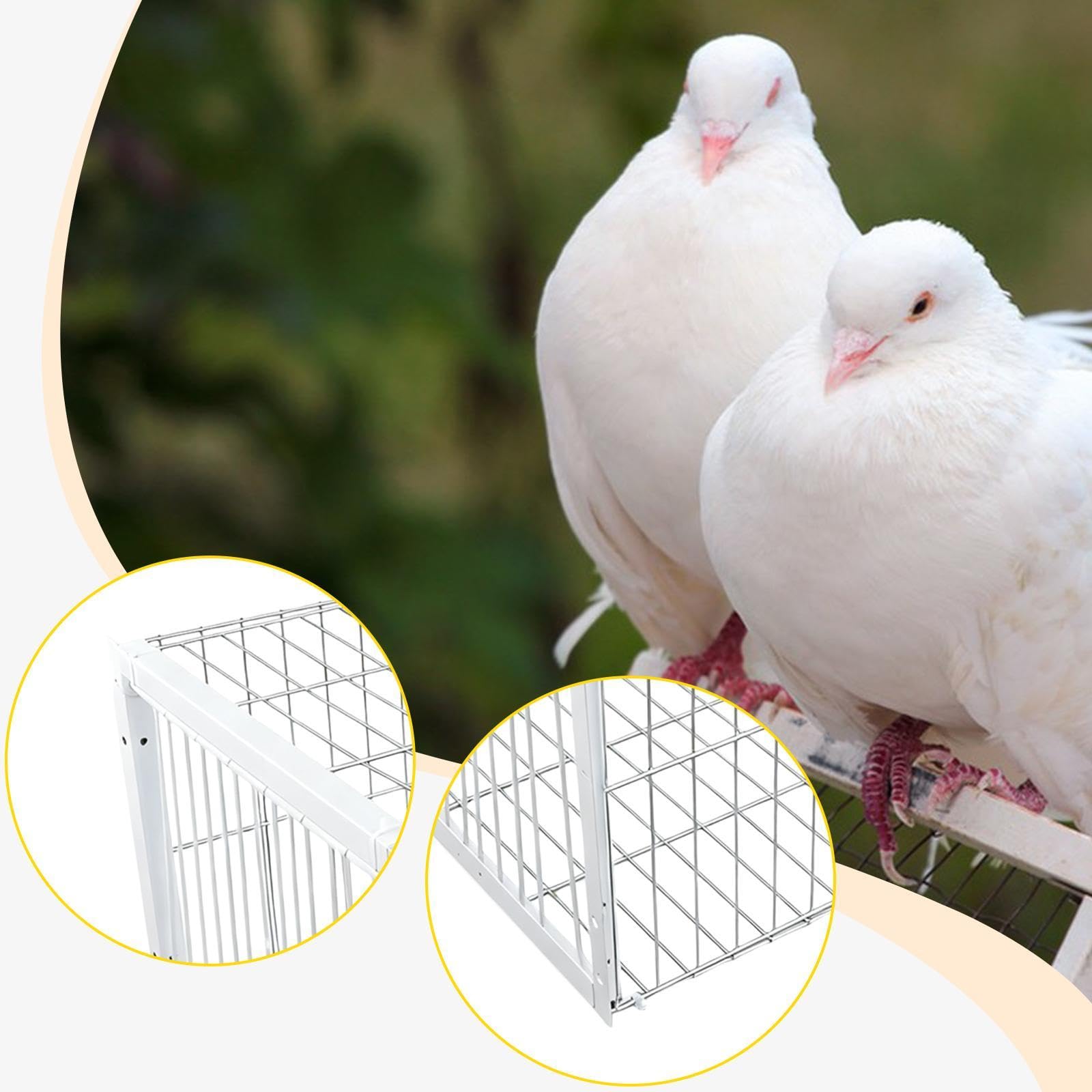 Fenteer Jaula para Pájaros Y Palomas, Jaula para Pollos, Colección Automática de Palomas de Metal, Jaula para Animales para Granjas de Balcones Andowns, Entrada de 1 vía