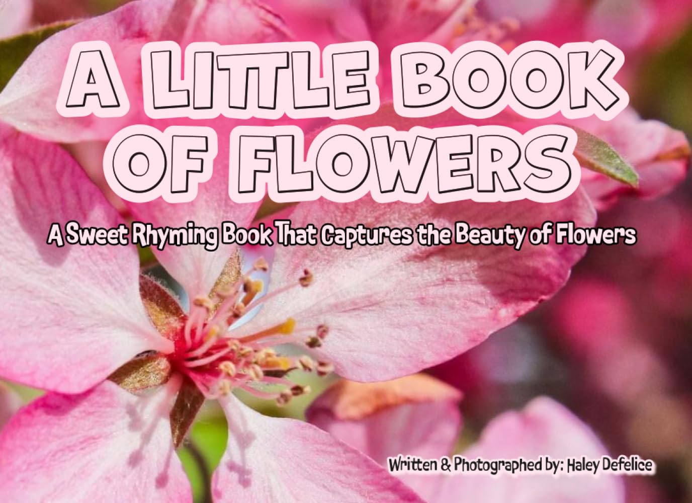 A Little Book of Flowers: A Sweet Rhyming Book That Captures the Beauty of Flowers