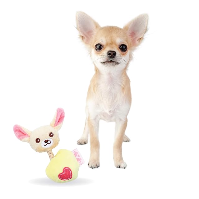 Pet London Juguete para Perros pequeños con Personaje de Chihuahua