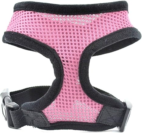 chihuahua harness amazon