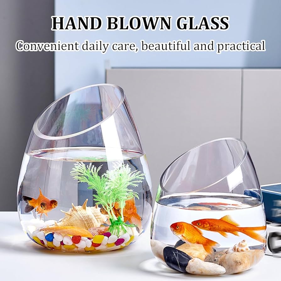 Amazon.co.jp: 透明ガラス水槽 - 斜め開口部デザイン - 金魚用