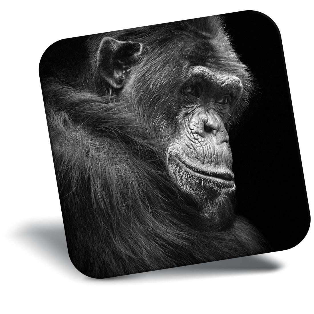 Destination Vinyl ltd Fridge Magnet - Chimpanzee Gorilla Monkey Portrait 15875