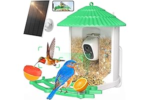 Smart Electric Bird Feeder with AI Identification