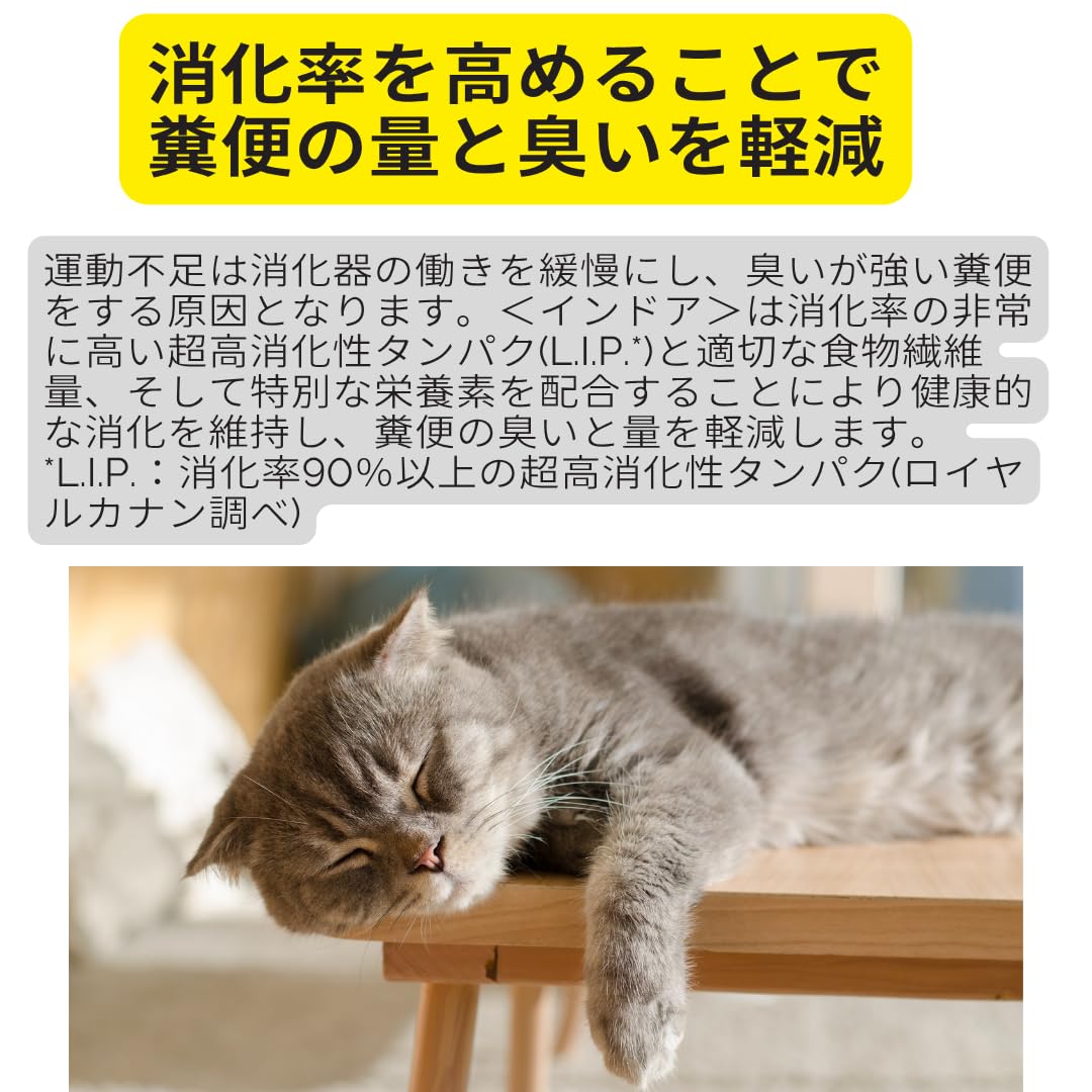 Amazon | ロイヤルカナン 室内で生活する猫専用フード 成猫用