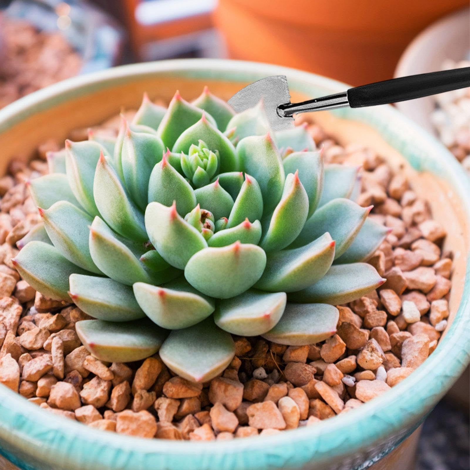Kit di Utensili per Terrari, Strumenti per Piante Grasse | Manuale di 16 Pezzi Set da giardinaggio - min Strumenti per Piante Interne, Vasi di Vaso, Bonsai, Cactus, t