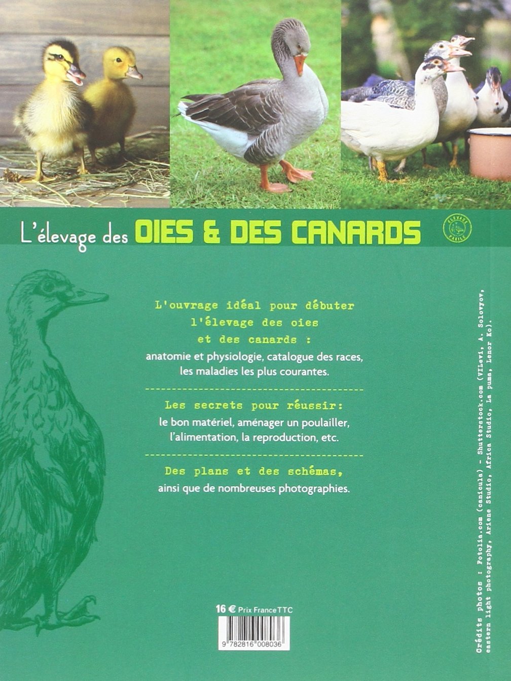 L'élevage des oies et des canards