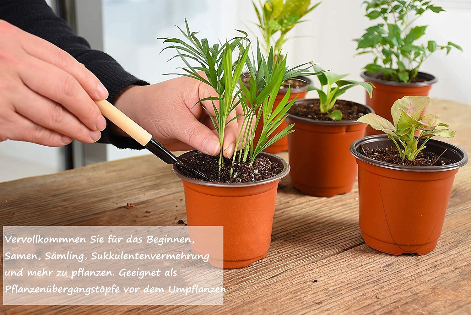 SOETDERT 50 stuks plantenpotten, mini-kweekpotten, 10 cm, kunststof