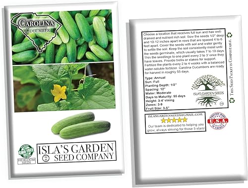 Miniatura 5 de Semillas de pepino de Carolina para plantar, más de 100 semillas tradicionales por paquete, semillas de jardín de Isla (semillas de jardín de Isla),