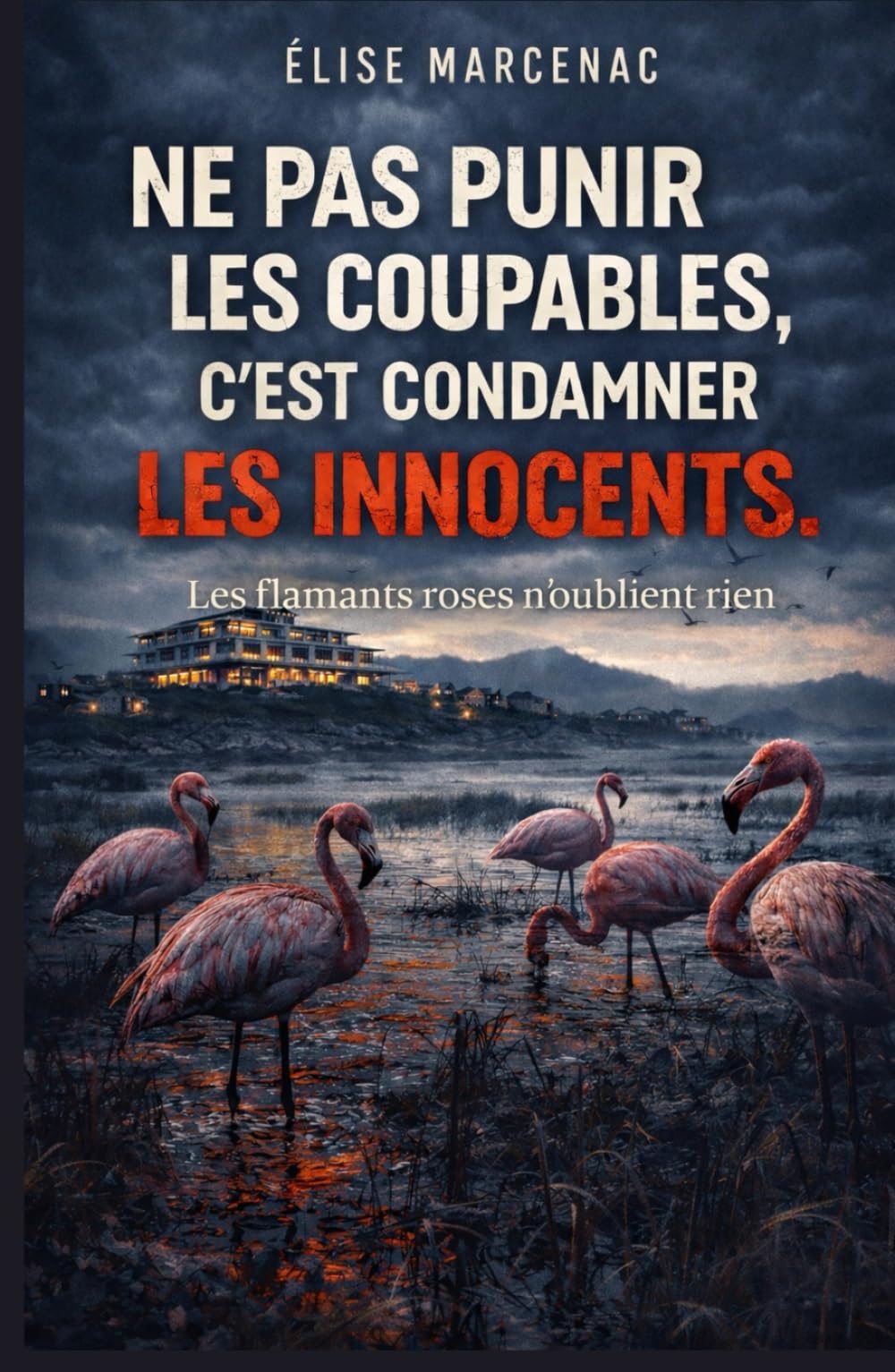 NE PAS PUNIR LES COUPABLES, C’EST CONDAMNER LES INNOCENTS : Les flamants roses n’oublient rien: un thriller noir, social et politique