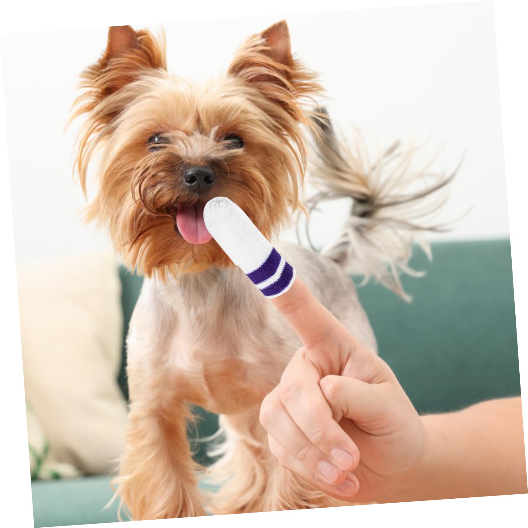 BESPORTBLE 30pezzi Spazzolino Per Denti Per Animali Domestici Nylon Per Cani e Gatti Strumento Di Pulizia Orale Con Design Comfort Per Cuccioli e Gattini