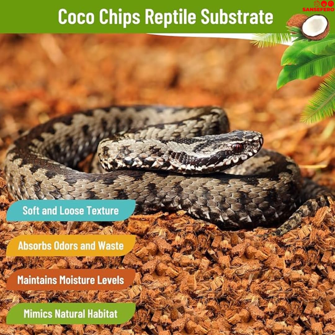 SANSEFERO Natural Coco Fiber Chips Substrate for Professional Breeding, Bedding for Reptiles Geckos, Lizards, Tortoises, Ball Python, Frogs, Snakes, Bearded Dragon & Toronto Spider (500 Gram) 2