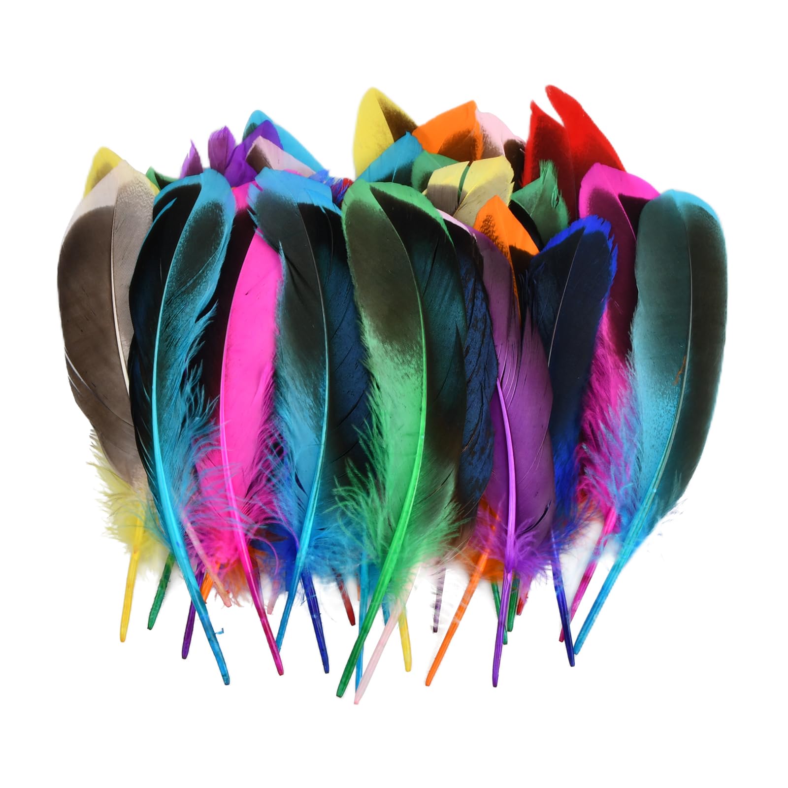 Homirty 200 Pcs Colourful Feathers for Crafts Mini Feathers