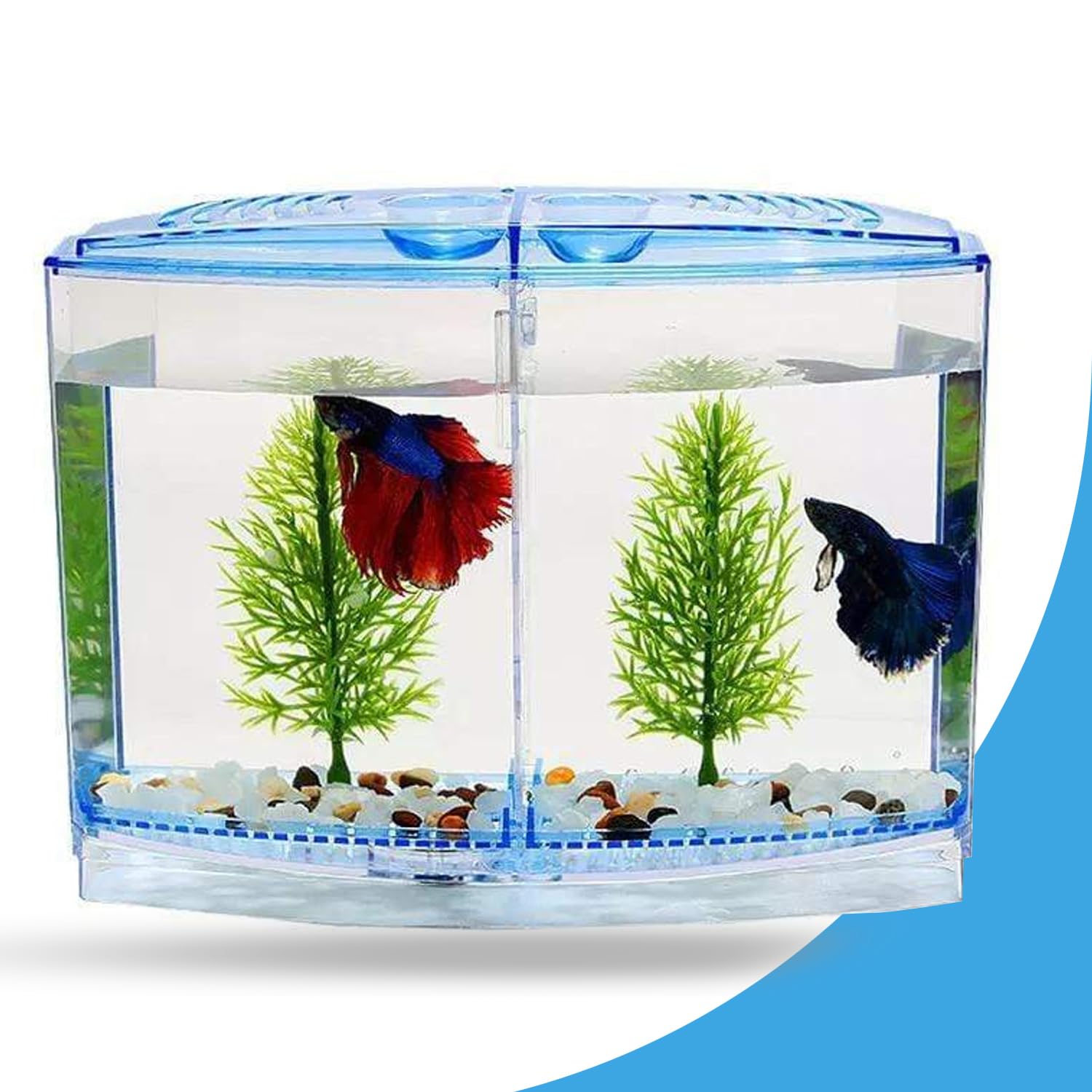 Jainsons Pet Products Mini Aquarium Betta Double Chamber House Fish Breeding Box Hatchery