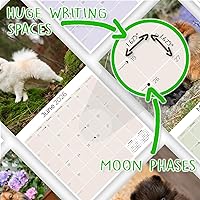 Vista 623 de Razas de Perros 2017