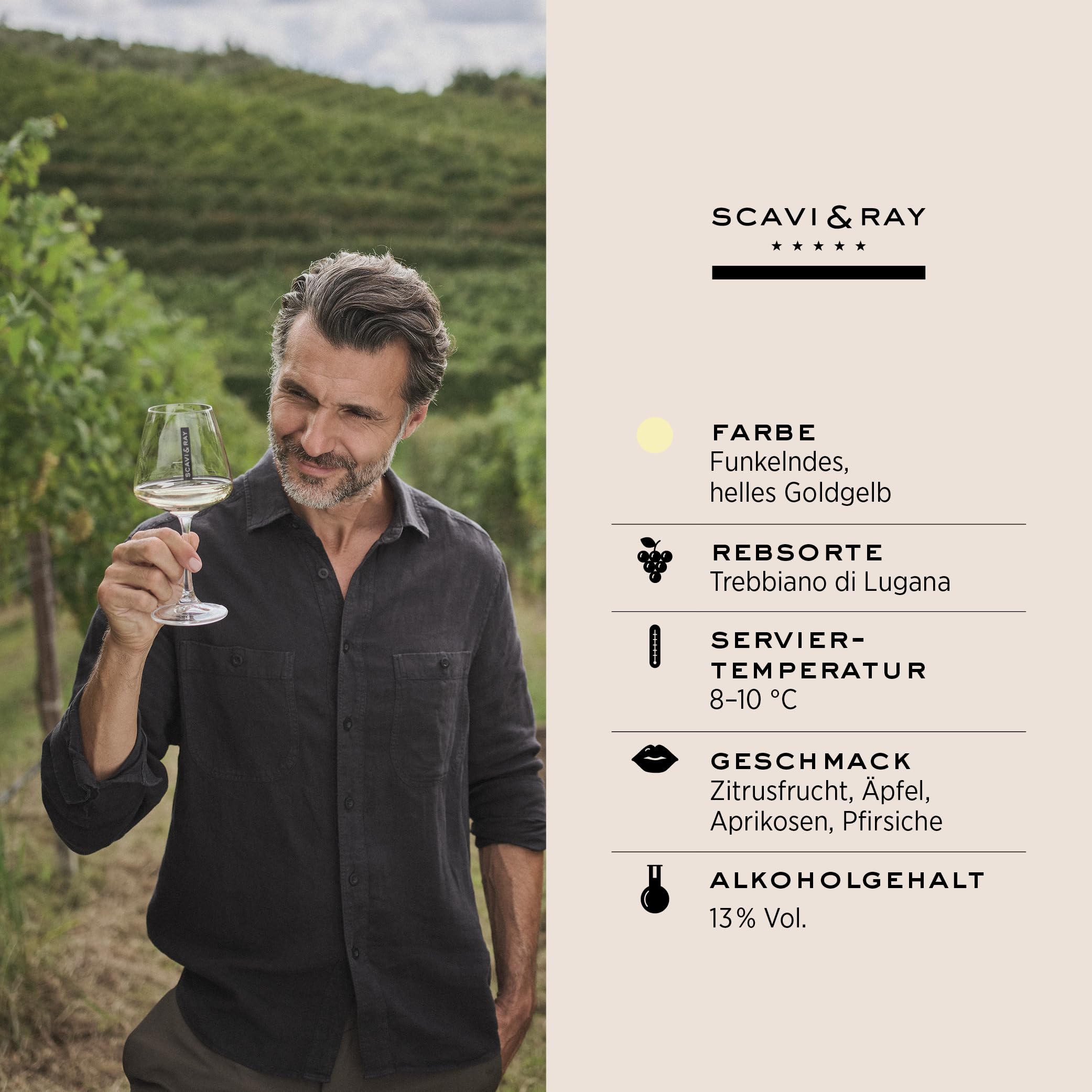SCAVI & RAY Lugana DOC Weißwein 6 x 0,75l, trocken, erfrischend- blumiger Weißwein aus Italien, 13% Vol. Alkohol – Perfekt für die italienische Küche und Genießer