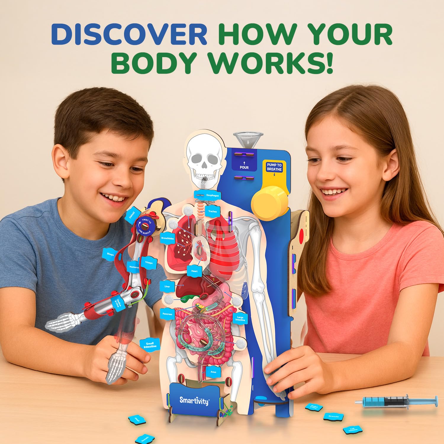 Smartivity Interactive Human Body Model for Kids 8-14 Years — Amazon image 3