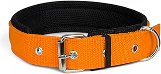 Dog Collar for Medium Dogs, Soft Padded Dog Belt Neck Collar, Dog Belt for Medium Dogs Beagle, Basenji, Boxer, Dalmatian, Shiba Inu (Orange, M)