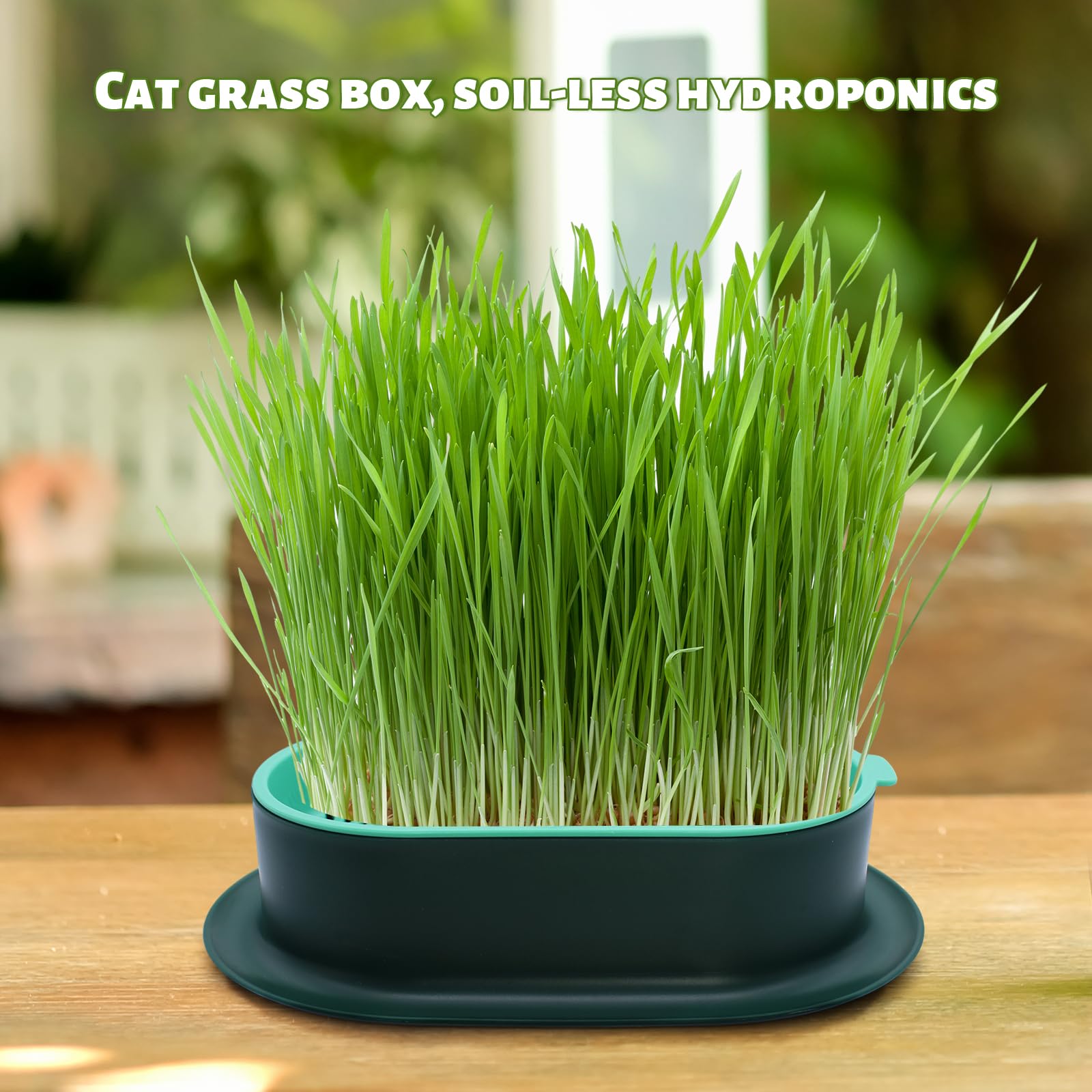 2 Stück Keimschale Katzengras Samen Pflanzschalen Kunststoff Keimschalen Hydroponik Seed Sprouter für Garten Home Office