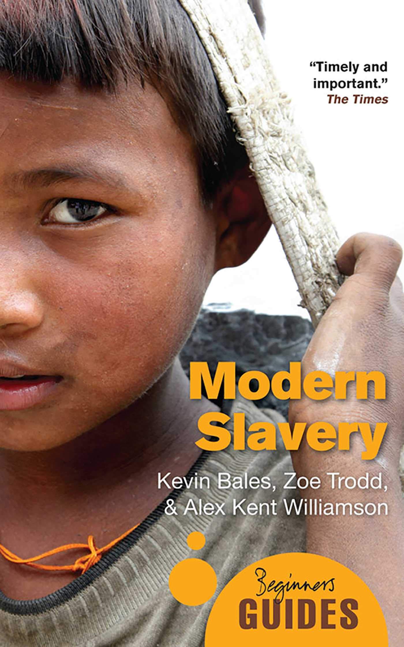 Alex Kent WilliamsonModern Slavery: A Beginner's Guide (Beginner's Guides)