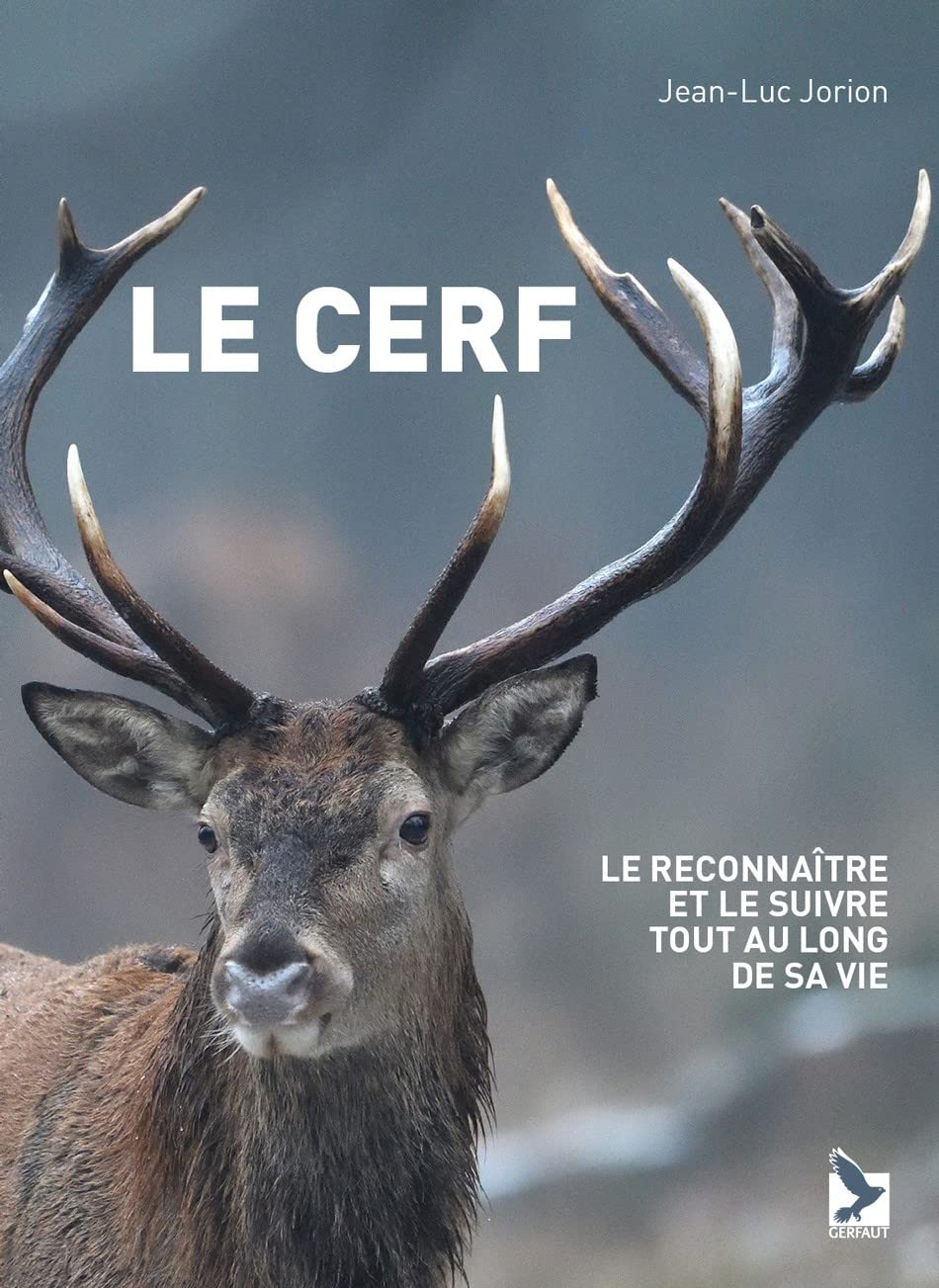 Le cerf: Le reconnaitre et le suivre tout au long de sa vie