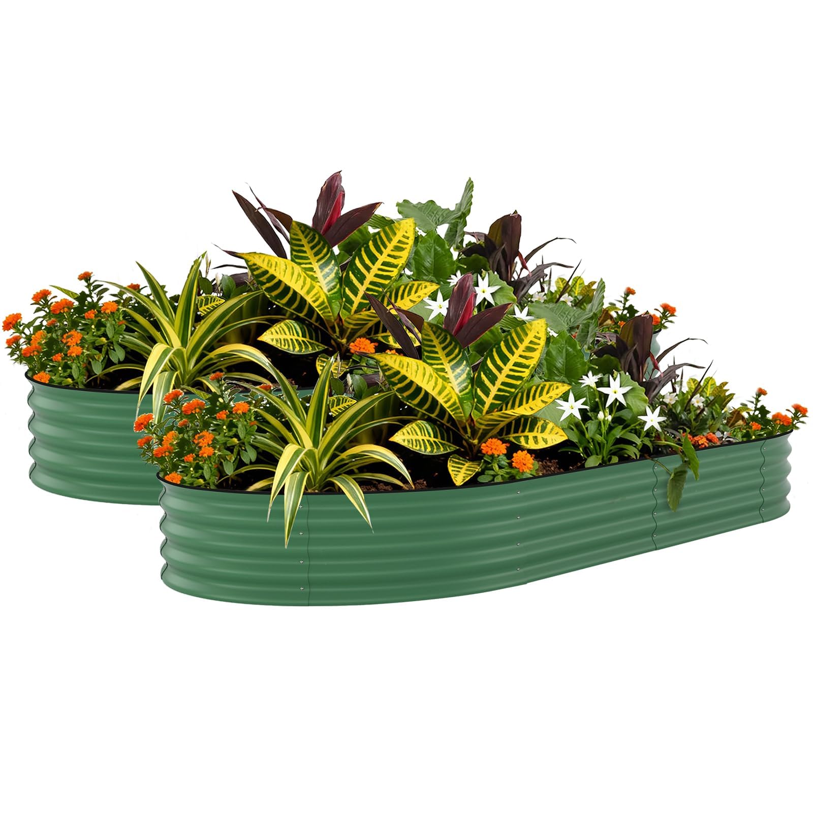 2 Pack Galvanized Raised Garden Beds - 10x4x1.5ft Planter Box for Vegetables, Flowers, Rust-Resistant Garden Box, Easy Assembly Raised Beds, Durable Planters for Outdoor Plants