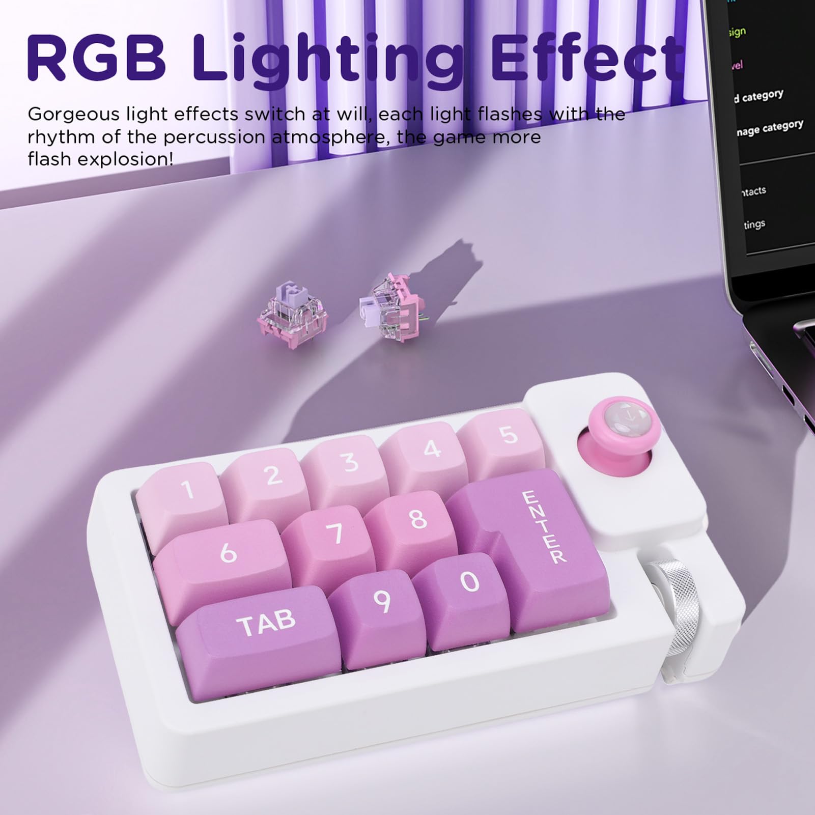 Pavé Numérique Mécanique, Clavier Macro Filaire USB 12 Touches échangeables à Chaud avec Rétroéclairage RVB, Joystick et Touches Programmables, pour Ordinateur Portable (Green)