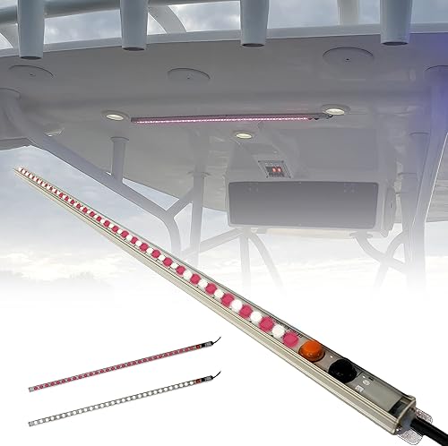 Luz LED de doble color en T con interruptor  Luz de timón de cabina de cortesía de barco  Carcasa de barra impermeable  Hardware inoxidable  IP68