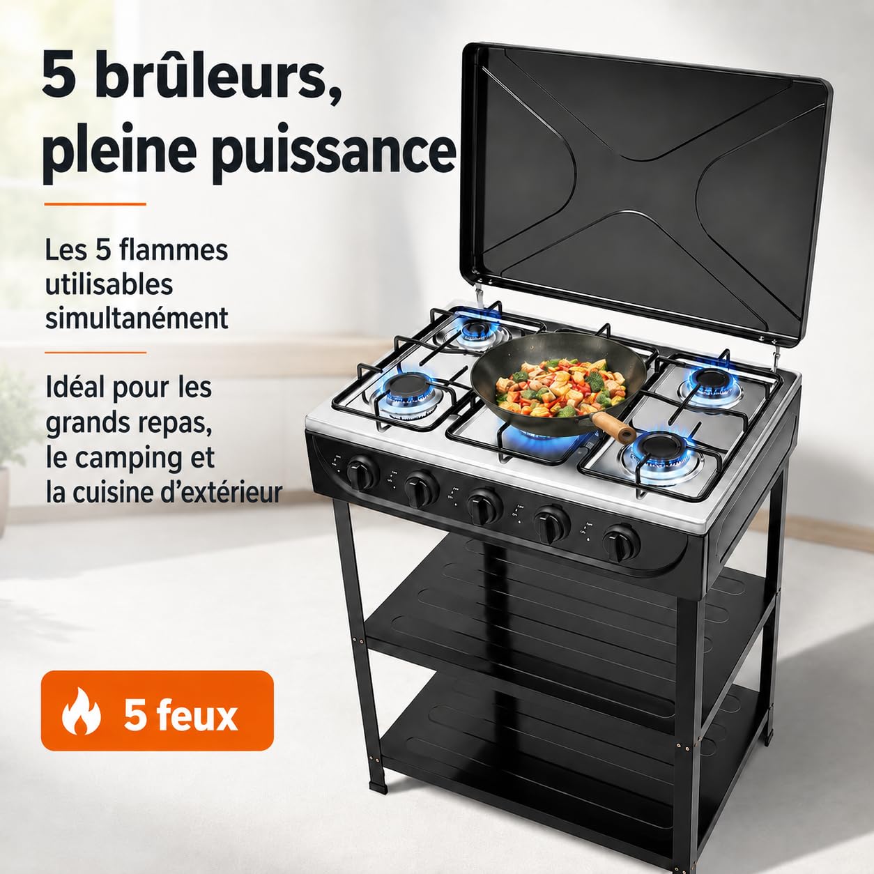 Plaque de cuisson à gaz 5 flammes, 2,5 kW, portable, pour le camping et la maison