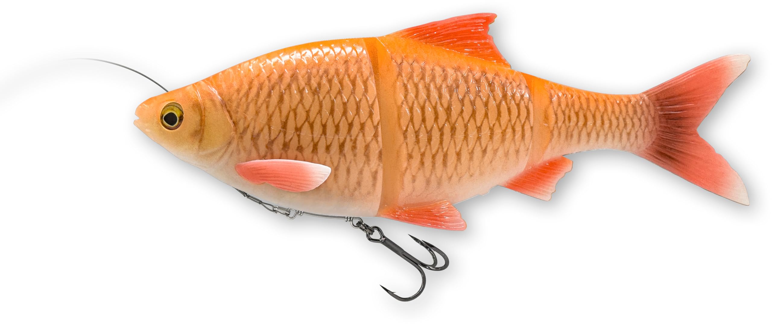 Savage Gear 4D Line Thru Roach 25cm 216g sink Albino Roach pike cheese Sports & Outdoors