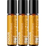 Focus Essential Oil Roll On - Aromatherapy Essential Oil Roller with Invigorating Pure Citrus and Mint Oils - Attention and Focus Essential Oil Blend with Eucalyptus Peppermint & Grapefruit (3 Pack)